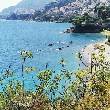 Vue Magnifique, Piscine Privée Chauffée Et Sauna à 10min De Monaco Appartement Roquebrune-Cap-Martin